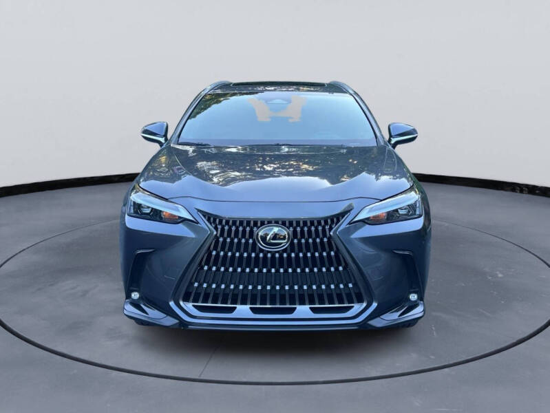 2024 Lexus NX 250