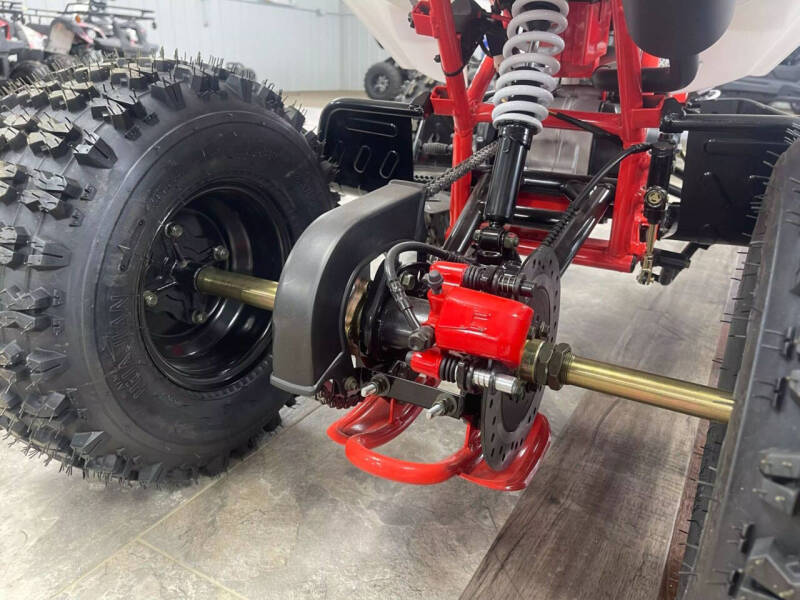 2025 TAO CHEETAH (G125)