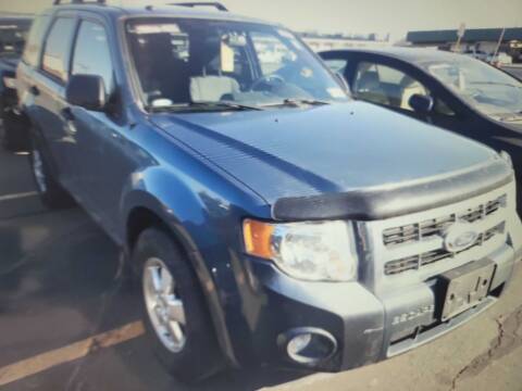 2011 Ford Escape for sale at CRYSTAL MOTORS SALES in Rome NY