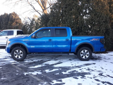 2013 Ford F-150 for sale at Feduke Auto Outlet in Vestal NY