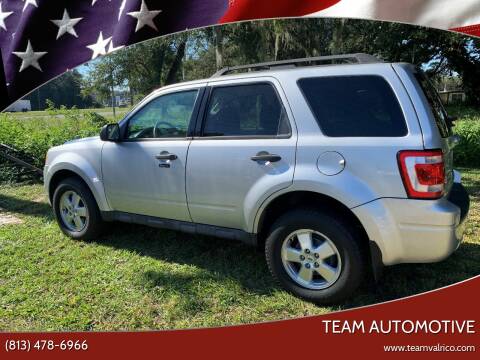 2012 Ford Escape for sale at TEAM AUTOMOTIVE in Valrico FL