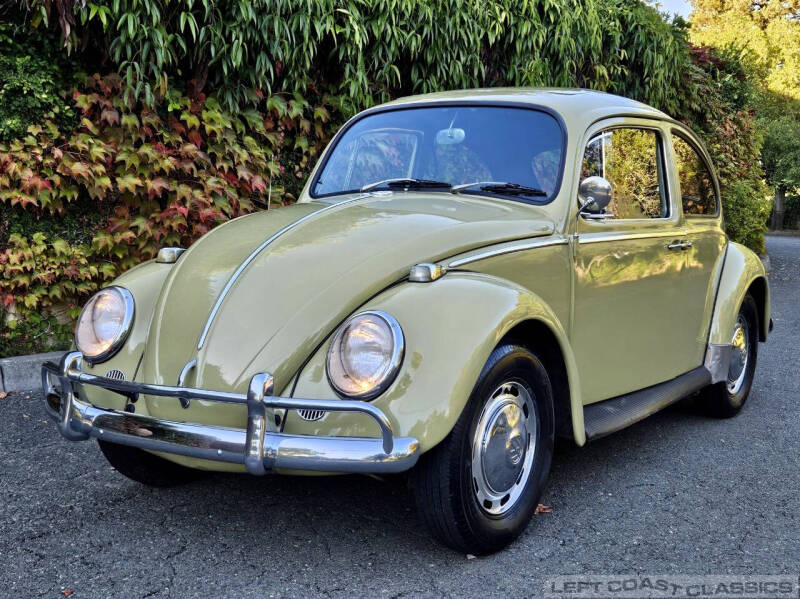 1966 Volkswagen Beetle