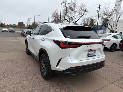 2025 Lexus NX 350 Premium