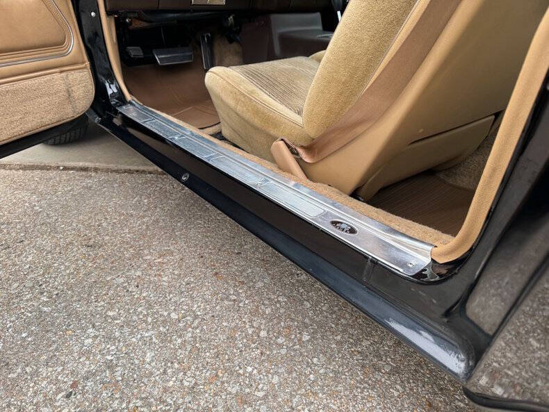 1981 Pontiac Firebird Trans Am