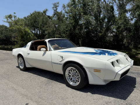 1981 Pontiac Firebird Trans Am