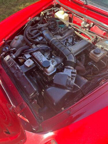 1986 Alfa Romeo Spider Veloce