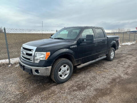 2014 Ford F-150 for sale at FAST LANE AUTOS in Spearfish SD