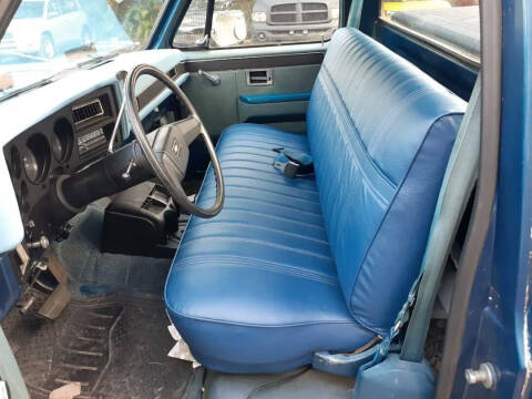 1981 Chevrolet C/K 10 Series C10 Silverado