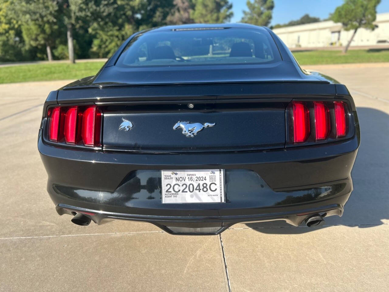 2017 Ford Mustang for sale at Auto Haven in Irving, TX