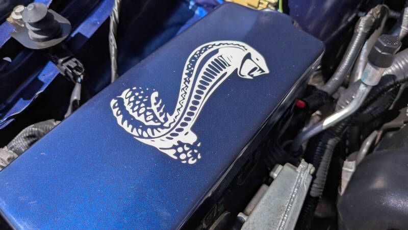 2010 Ford Shelby GT500