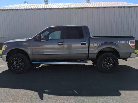 2011 Ford F-150 for sale at TNK Autos in Inman KS