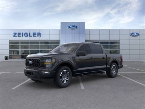 2023 Ford F-150 for sale at Zeigler Ford of Plainwell- Jeff Bishop - Zeigler Ford of Lowell in Lowell MI