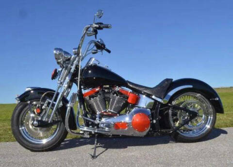 2002 Harley-Davidson FLSTS Heritage Springer