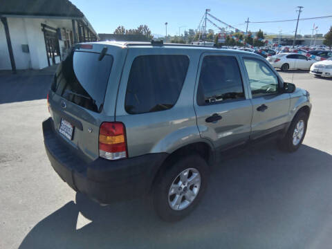 2006 Ford Escape XLT Sport