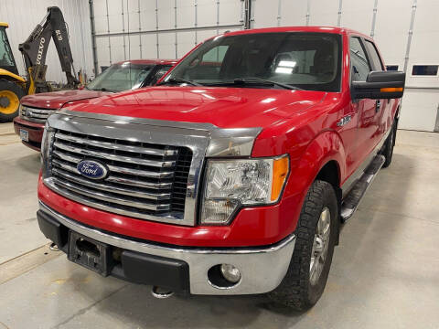 2010 Ford F-150 for sale at RDJ Auto Sales in Kerkhoven MN