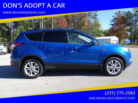 2017 Ford Escape for sale at DON'S ADOPT A CAR in Cadillac MI