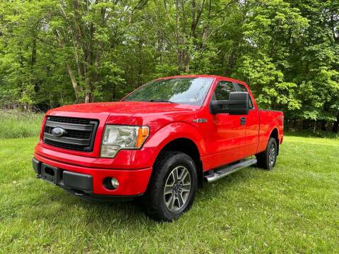 2014 Ford F-150 for sale at PREMIER AUTO SALES in Martinsburg WV