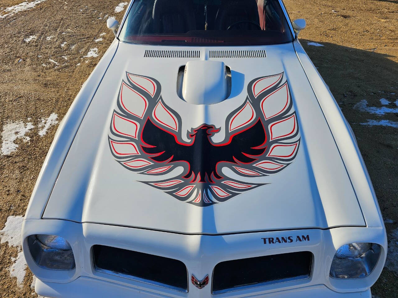 1976 Pontiac Trans Am 226
