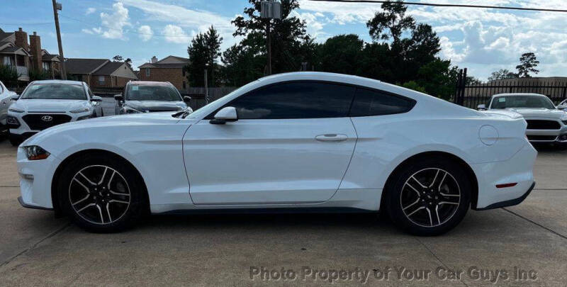 2019 Ford Mustang