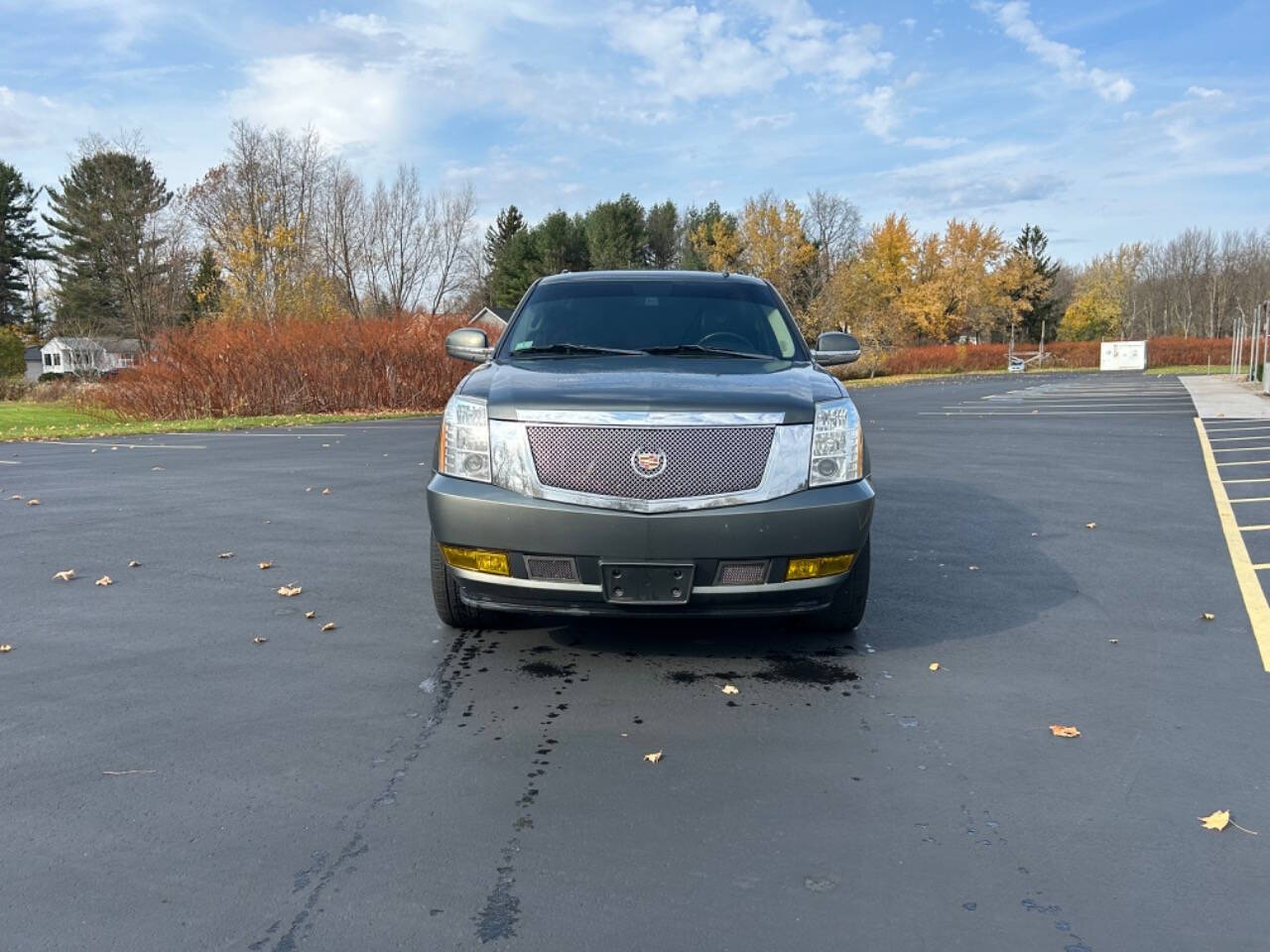 2011 Cadillac Escalade for sale at Main Street Motors Of Buffalo Llc in Springville, NY