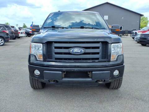 2010 Ford F-150