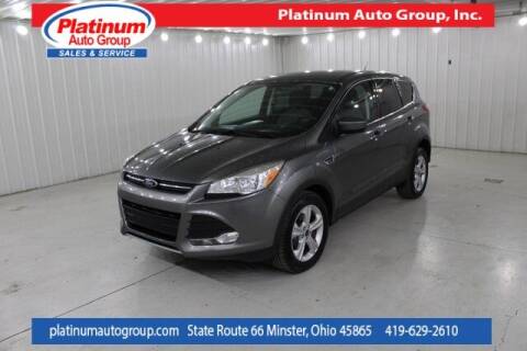 2014 Ford Escape for sale at Platinum Auto Group Inc. in Minster OH