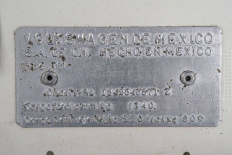 1973 Volkswagen Thing