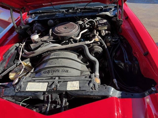 1981 Chevrolet Camaro Berlinetta