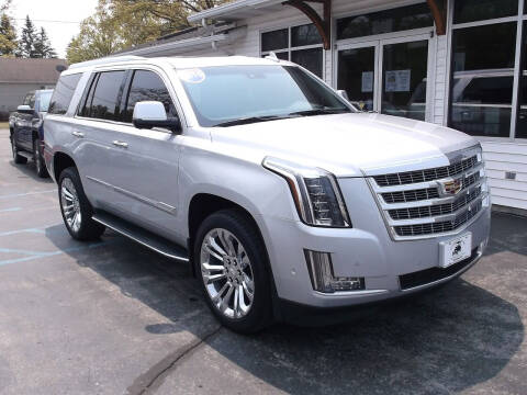 2019 Cadillac Escalade for sale at Victorian City Car Port INC in Manistee MI