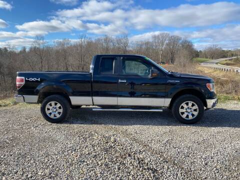 2009 Ford F-150 for sale at Skyline Automotive LLC in Woodsfield OH