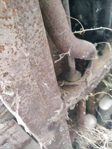 1959 Chrysler Windsor