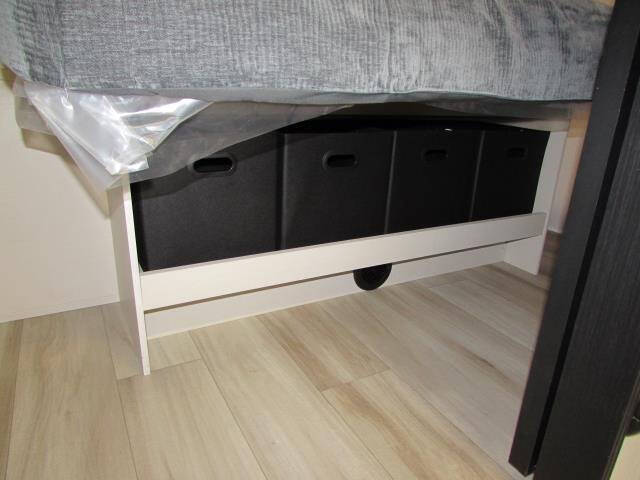 2025 Forest River T25RBHL