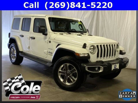 2021 Jeep Wrangler Unlimited for sale at COLE Automotive in Kalamazoo MI