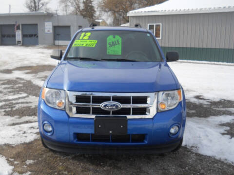 2012 Ford Escape for sale at Shaw Motor Sales in Kalkaska MI