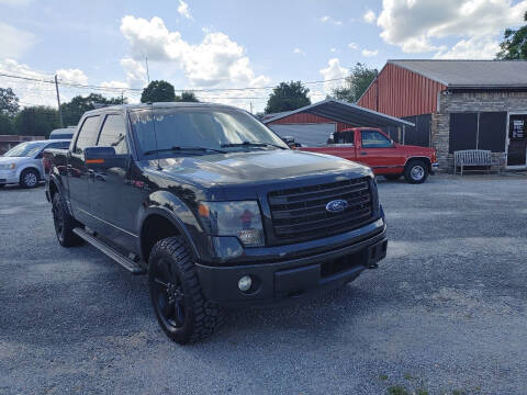 2014 Ford F-150 for sale at VAUGHN'S USED CARS in Guin AL