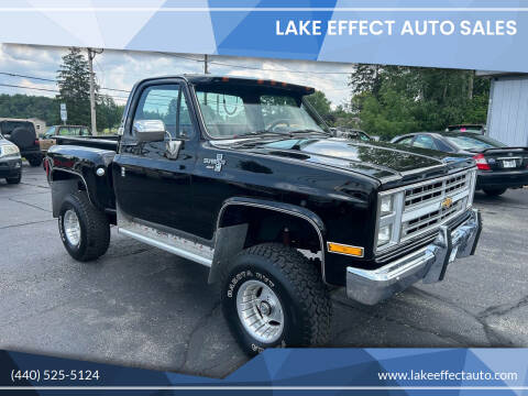 1979 Chevrolet C/K 10 Series for sale at Lake Effect Auto Sales in Chardon OH