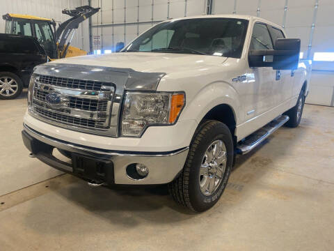 2013 Ford F-150 for sale at RDJ Auto Sales in Kerkhoven MN