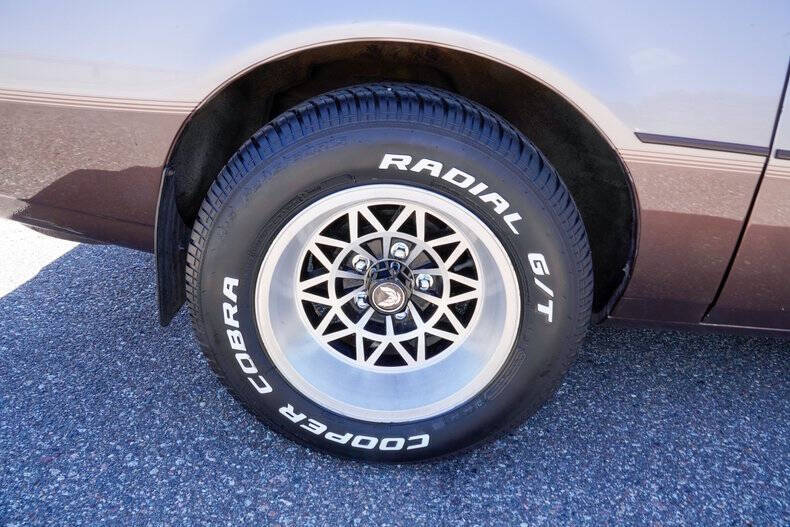 1984 Pontiac Firebird