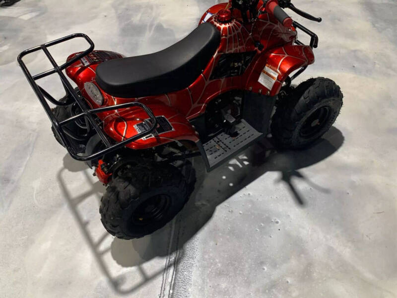 2019 Coolster Mountopz 110