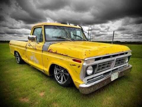 1976 Ford F-100 for sale at BIG BOY DIESELS in Fort Lauderdale FL