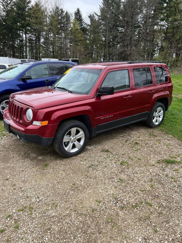 2014 Jeep Patriot for sale at Hillside Motor Sales in Coldwater MI