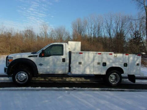 2015 Ford F-450 for sale at Apex Auto Sales LLC in Petersburg MI
