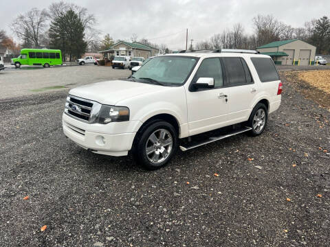 2010 Ford Expedition for sale at MOES AUTO SALES in Spiceland IN