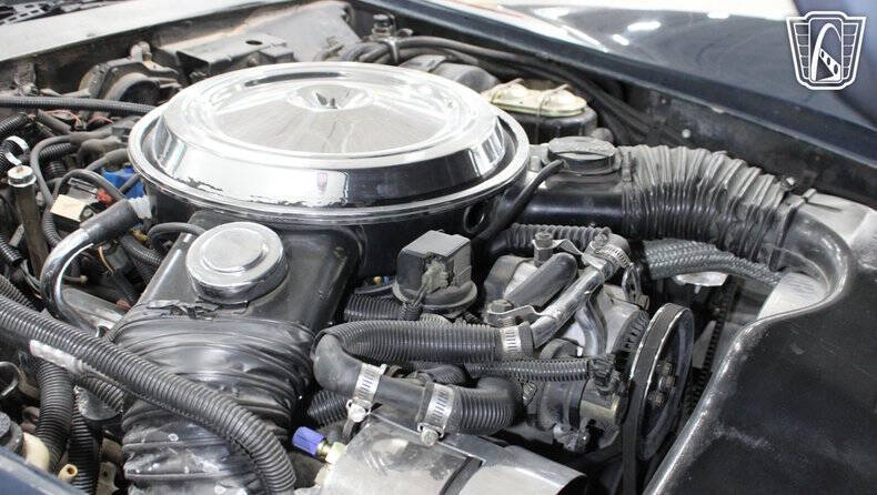 1981 Chevrolet Corvette