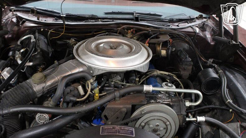 1979 Ford Thunderbird