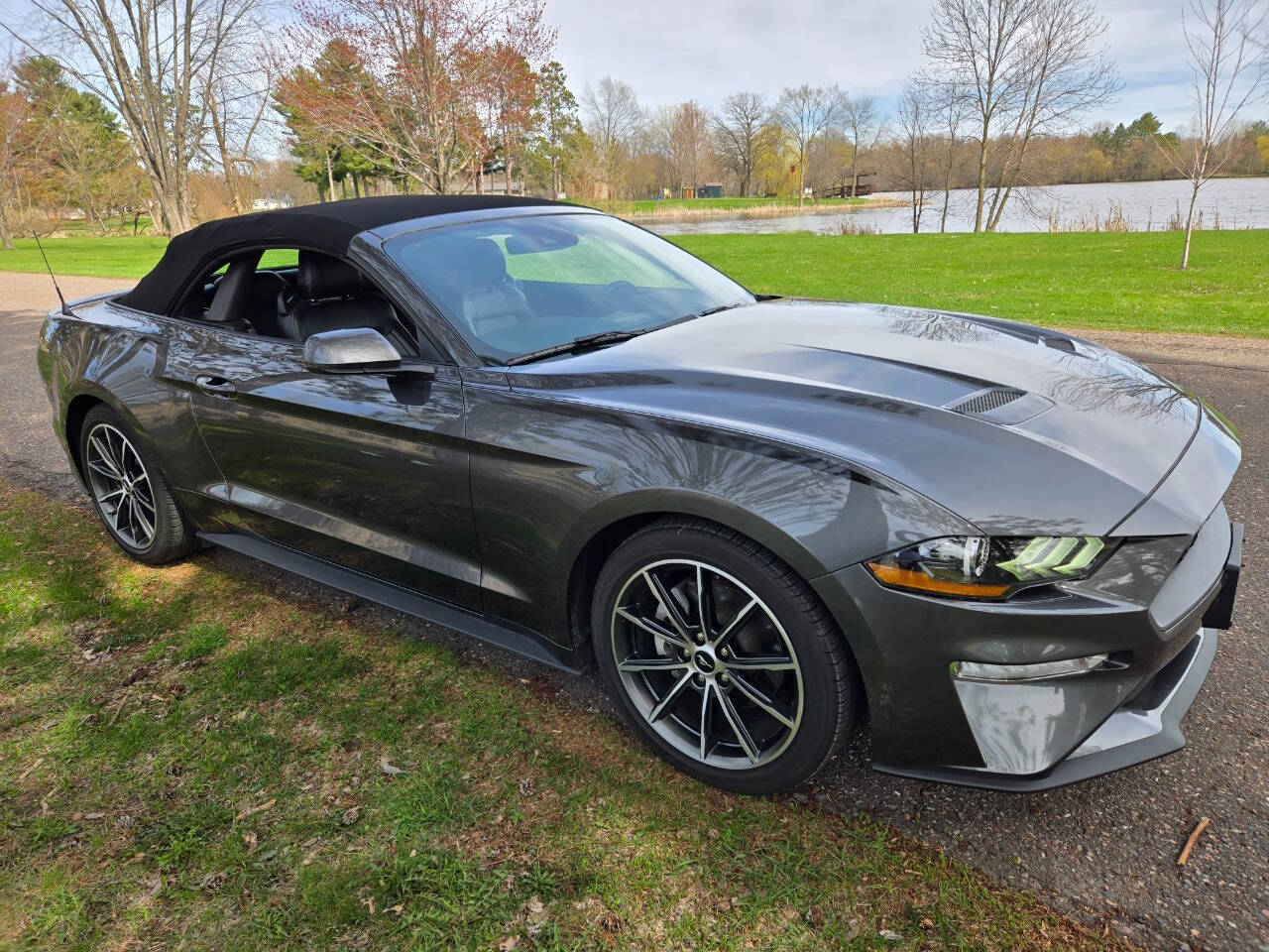 2019 Ford Mustang 172