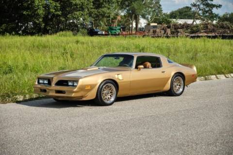1978 Pontiac Firebird for sale at Classic Car Deals in Cadillac MI