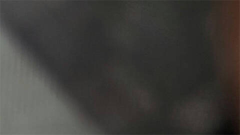 2024 Honda Pilot EX-L