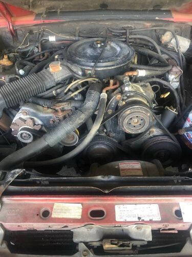 1983 Ford Mustang GLX