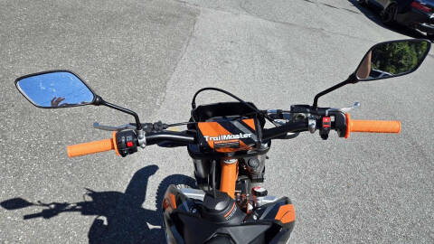 2024 TrailMaster TM38EX-300